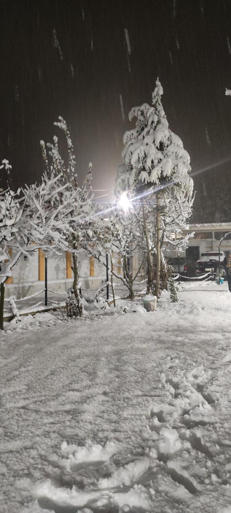 The Clover Inn Srīnagar エクステリア 写真
